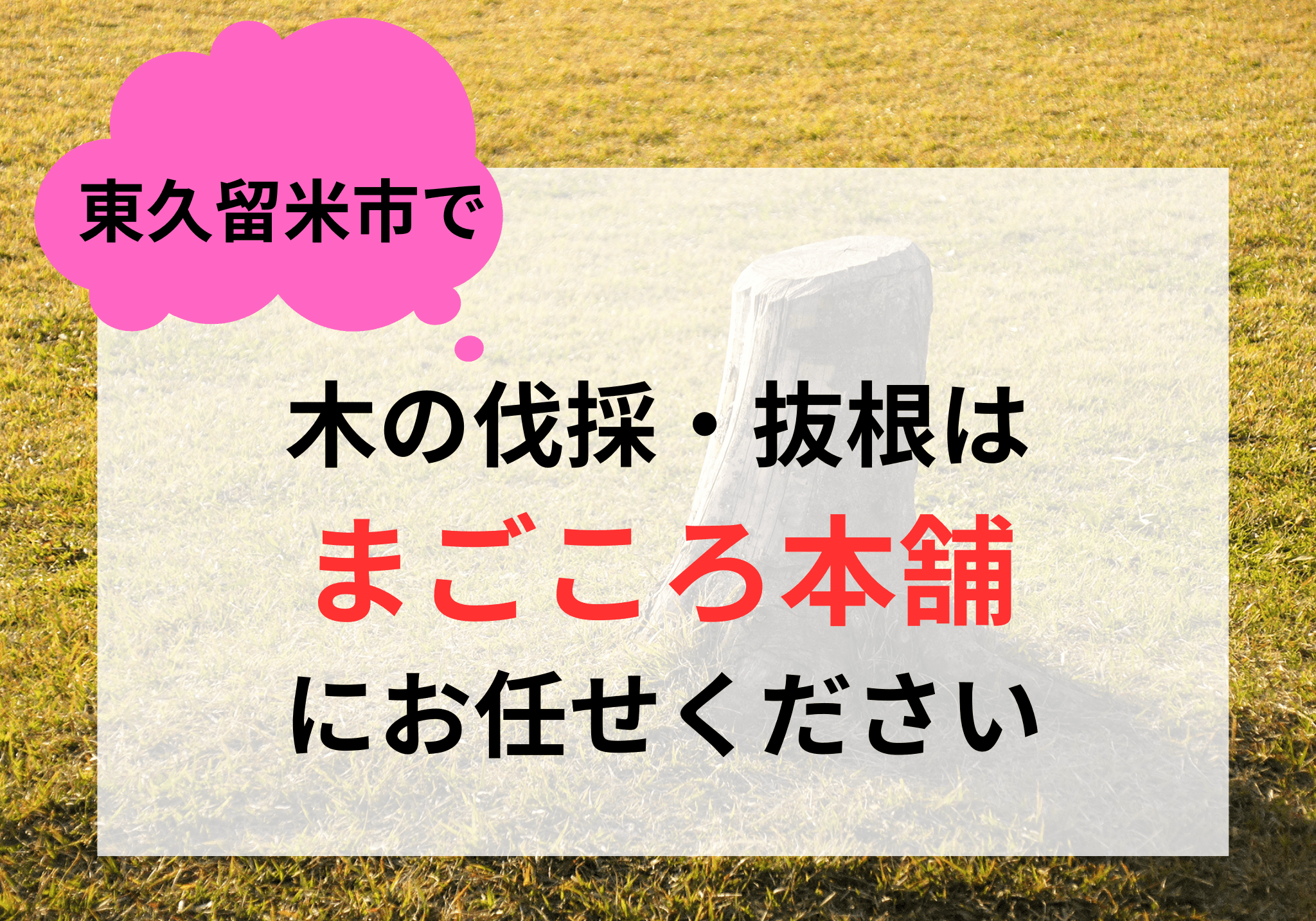 東久留米市での木の伐採・抜根は便利屋「まごころ本舗」におまかせください