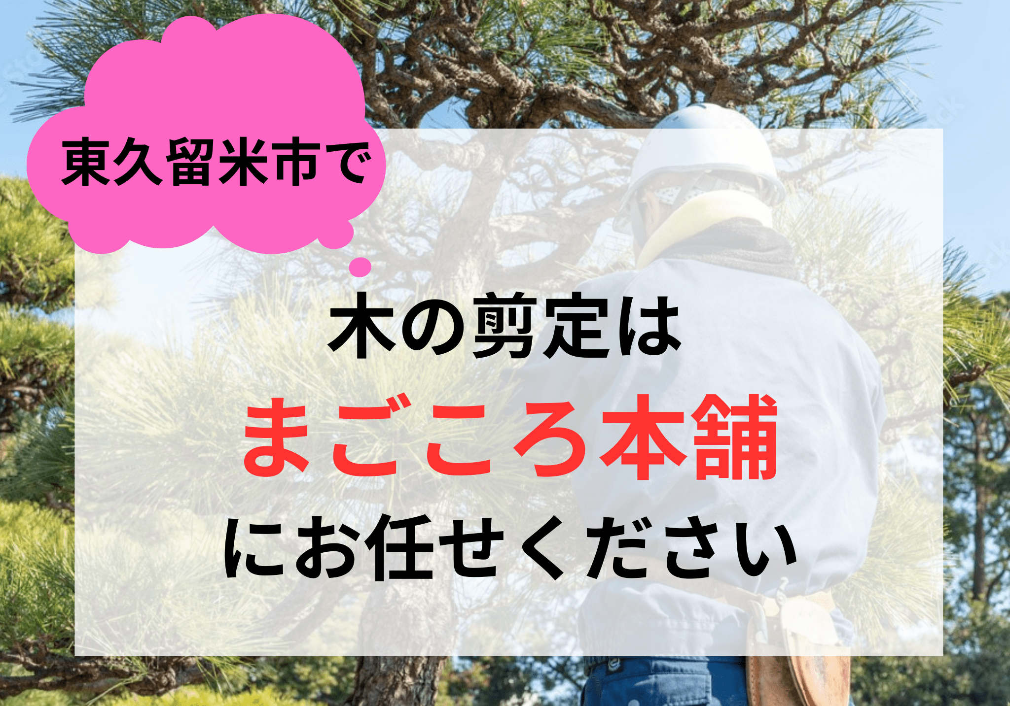 除草、庭木の剪定、不用品の処分などお困りごと何でもご相談ください - その他